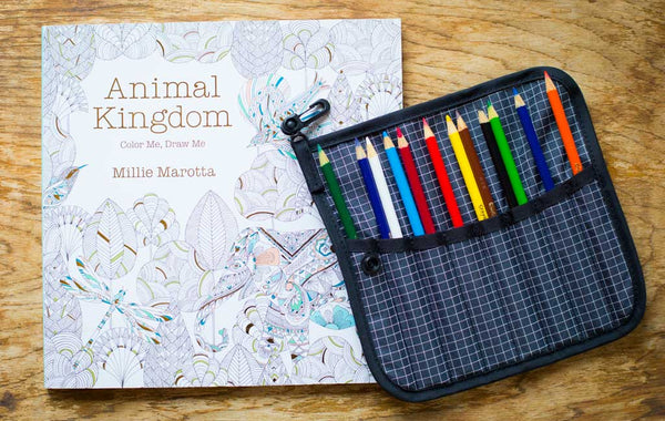 Introducing the Tool / Pen Wrap | TOM BIHN